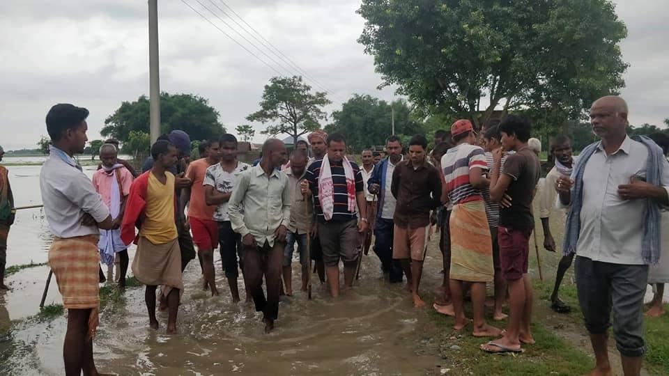 विराटनगरमा कुन वडामा कति बाढीपिडित ?