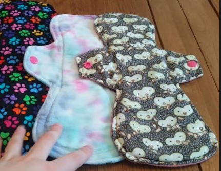 घरेलु प्याडको लोकप्रियता बढ्दै