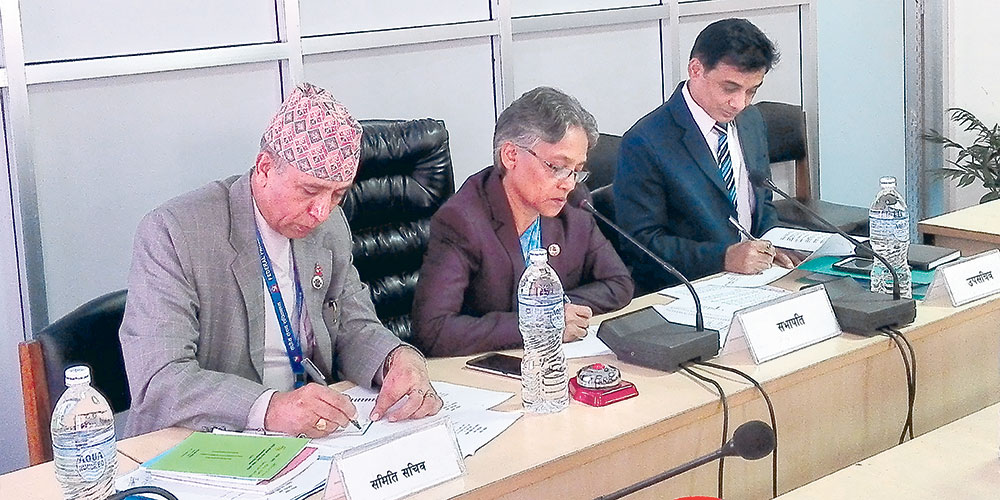 राहत तथा पनर्बासको व्यवस्था गर्न संसदीय समितिकी सभापतिको आग्रह