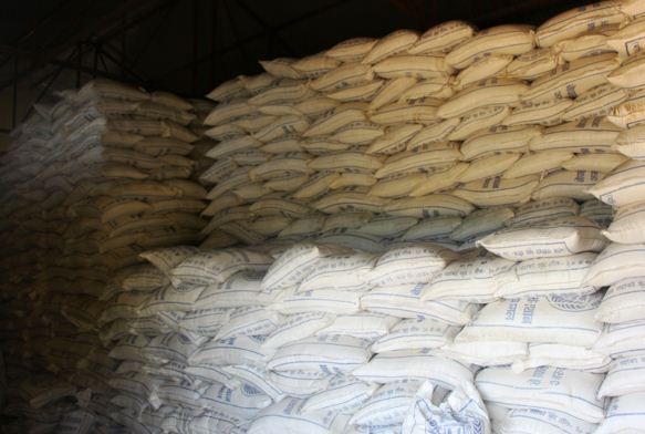 कृषि प्रधान मुलुकमा वार्षिक २५ अर्बको चामल आयात !