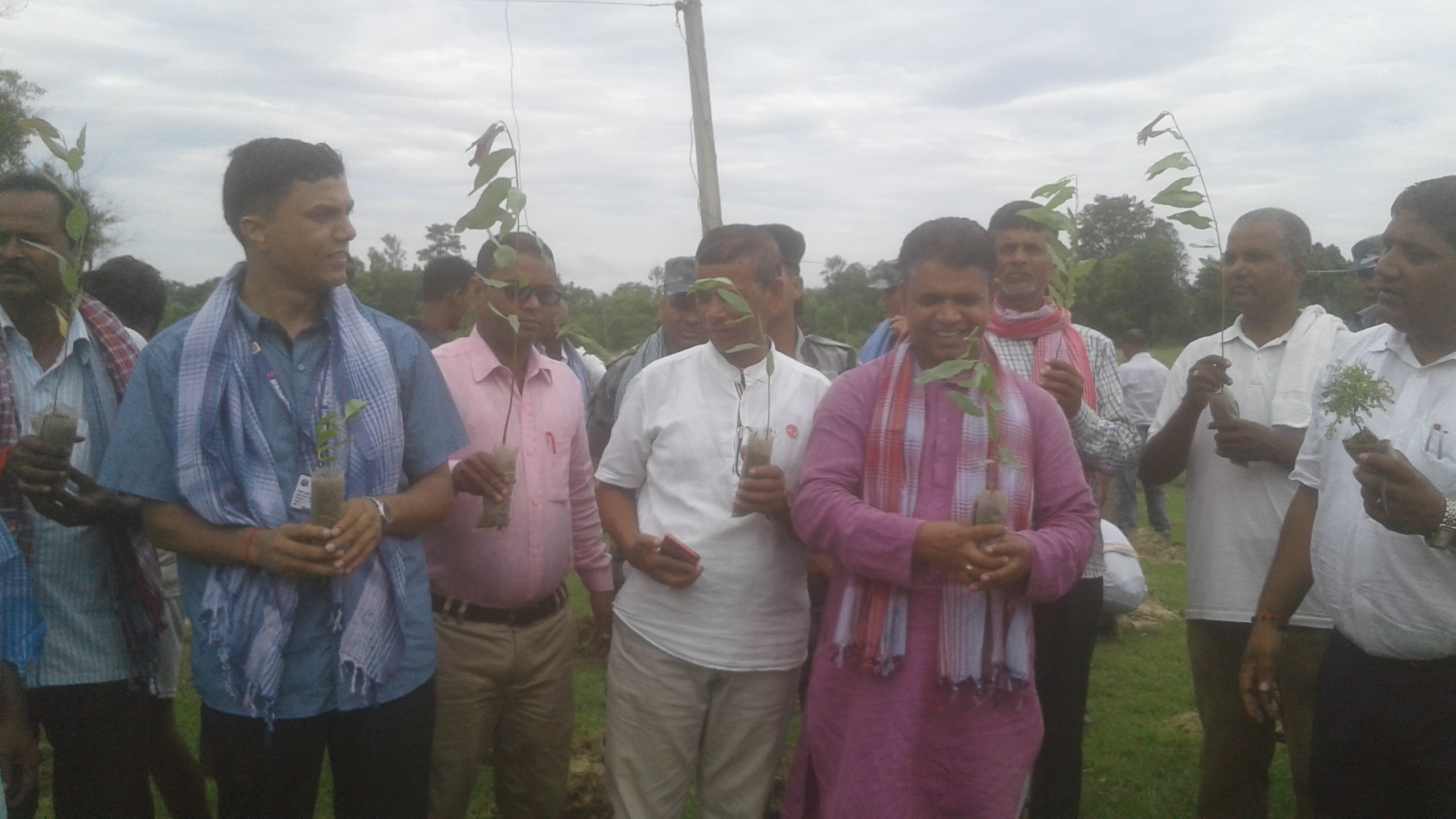 प्रदेश २ को ४ प्रतिशत वनलाई ४० प्रतिशतमा पुर्याईने