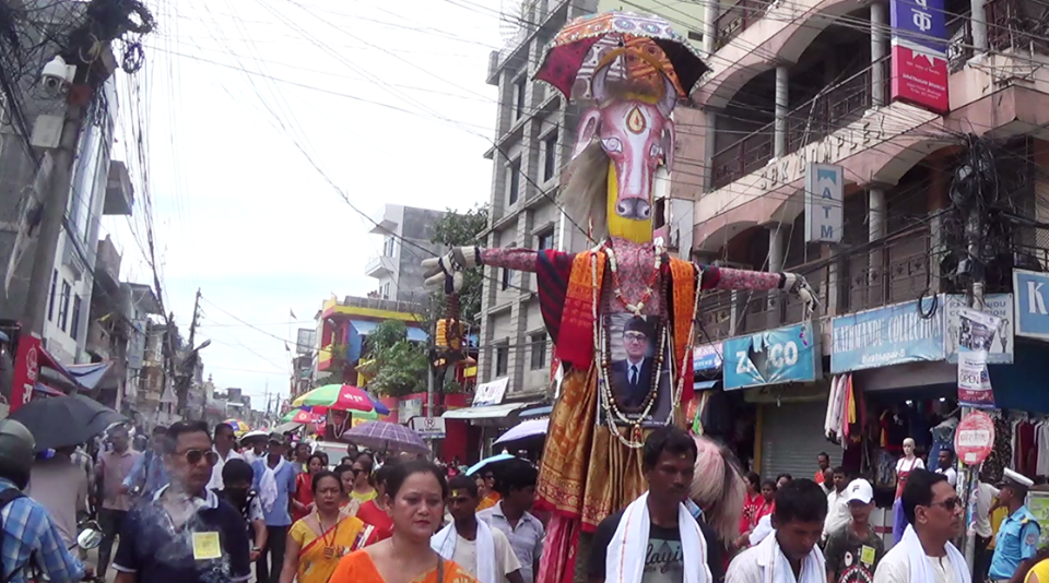 गाइजात्रा पर्व सुरु