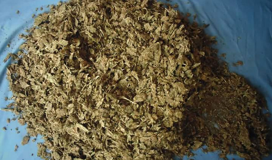 दुहवीमा गाँजासहित एक ब्यक्ति पक्राउ