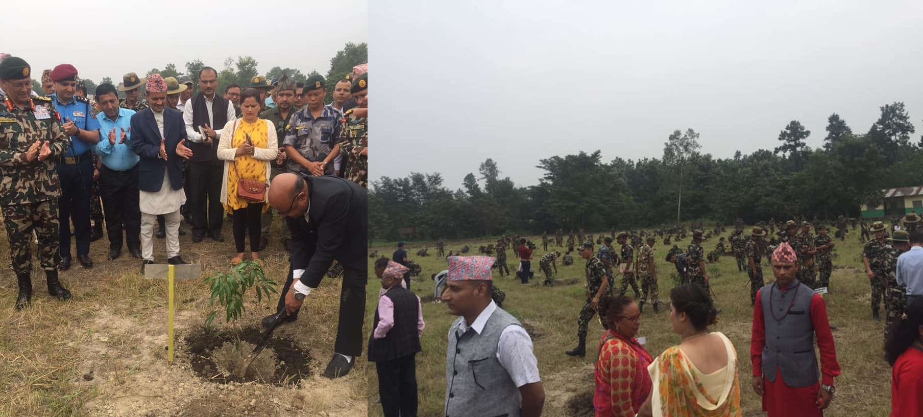 नेपाली सेनाले कोशी टप्पुमा रोप्यो साढे १३ हजार बिरुवा