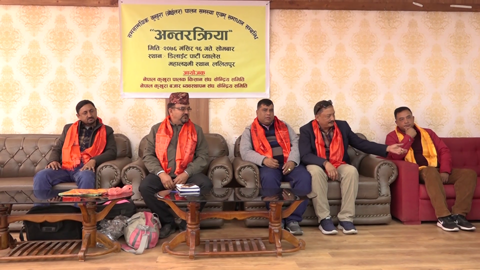 बजारमा कुखुराको ब्यापार खस्कियो