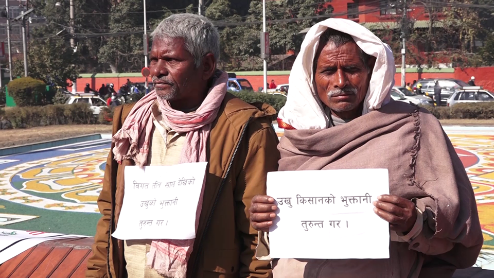 उखु किसान र सरकारबीच पाँच बुँदे सहमति , ७ गते भित्र बक्यौता उठ्ने