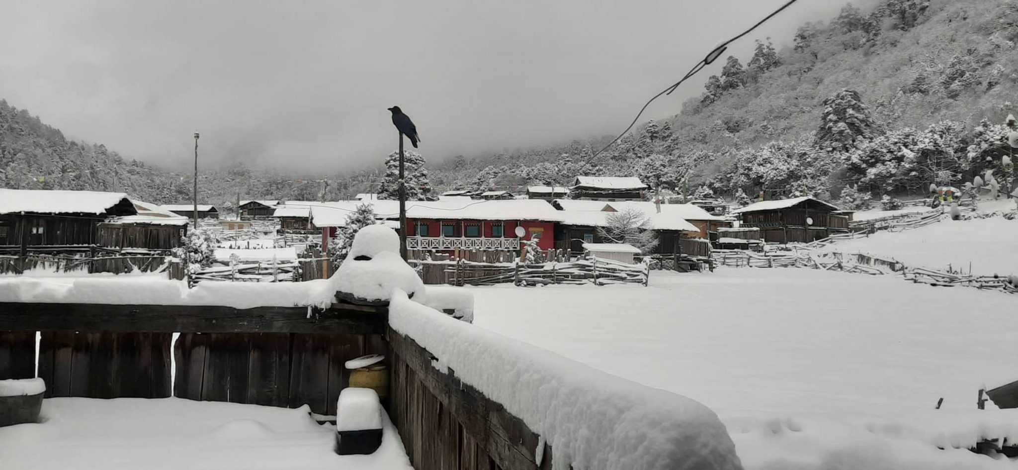 पाथिभरामा हिमपातमा फसेका ११ जनाको उद्दार