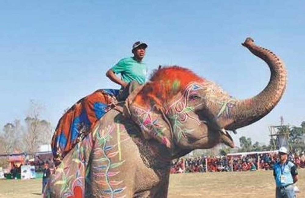 सबैभन्दा धेरै छावा जन्माउने पूजाकलीको मृत्यु