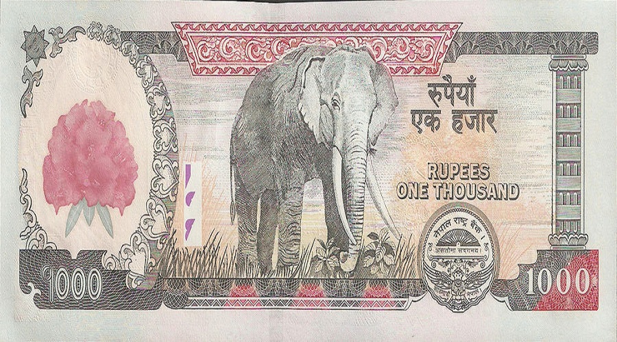 अब हजारको नोटमा दुईटा हात्ती !