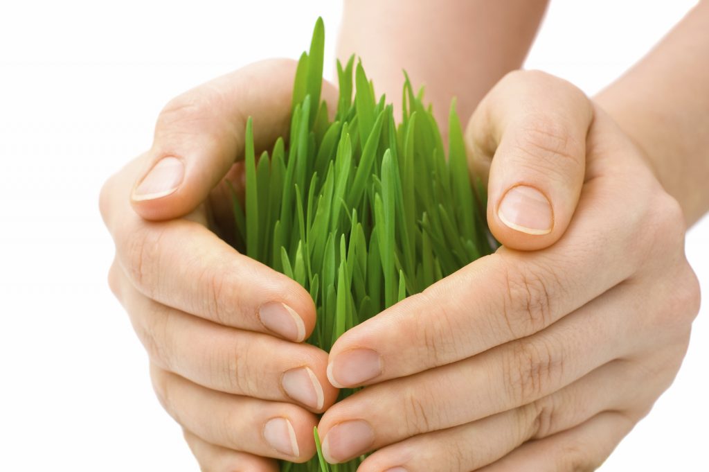 सरकारले कृषि विमामा १ अर्ब रुपैयाँ अनुदान दियो