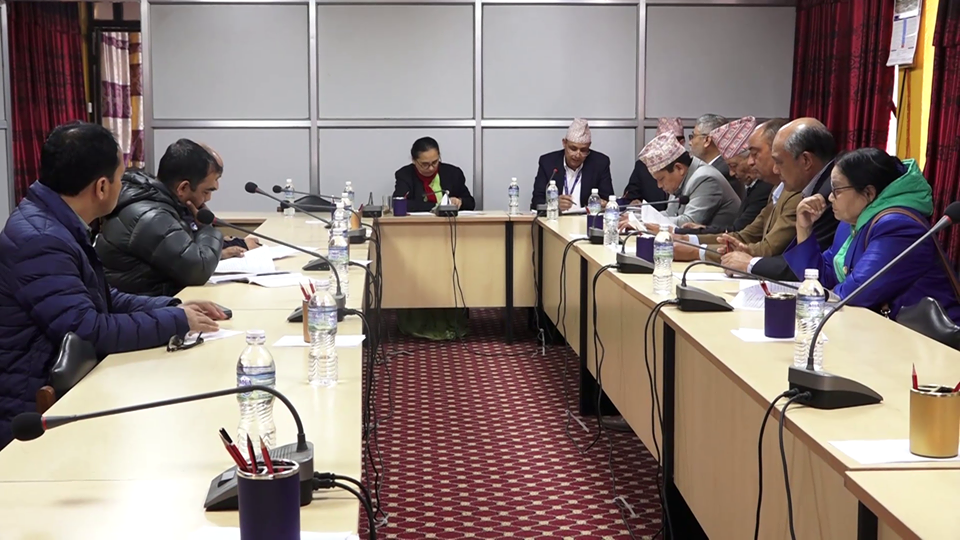 सांसदले सोधे, निकुञ्ज वरिपरि बस्नेले के पाउँछन् ?