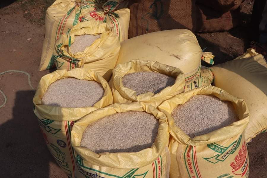 राहतका लागि खरिद गरिएको चामल सडेको भेटिएपछि गोदाम सिल