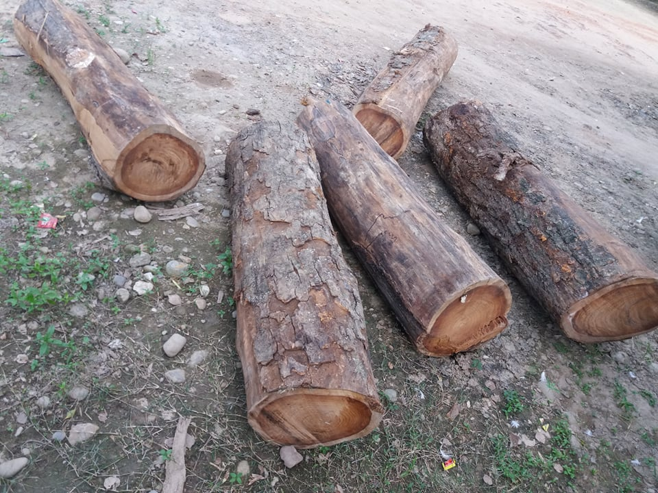 प्रहरी निरीक्षक र वन अध्यक्षविरुद्ध भ्रष्टाचार मुद्दा