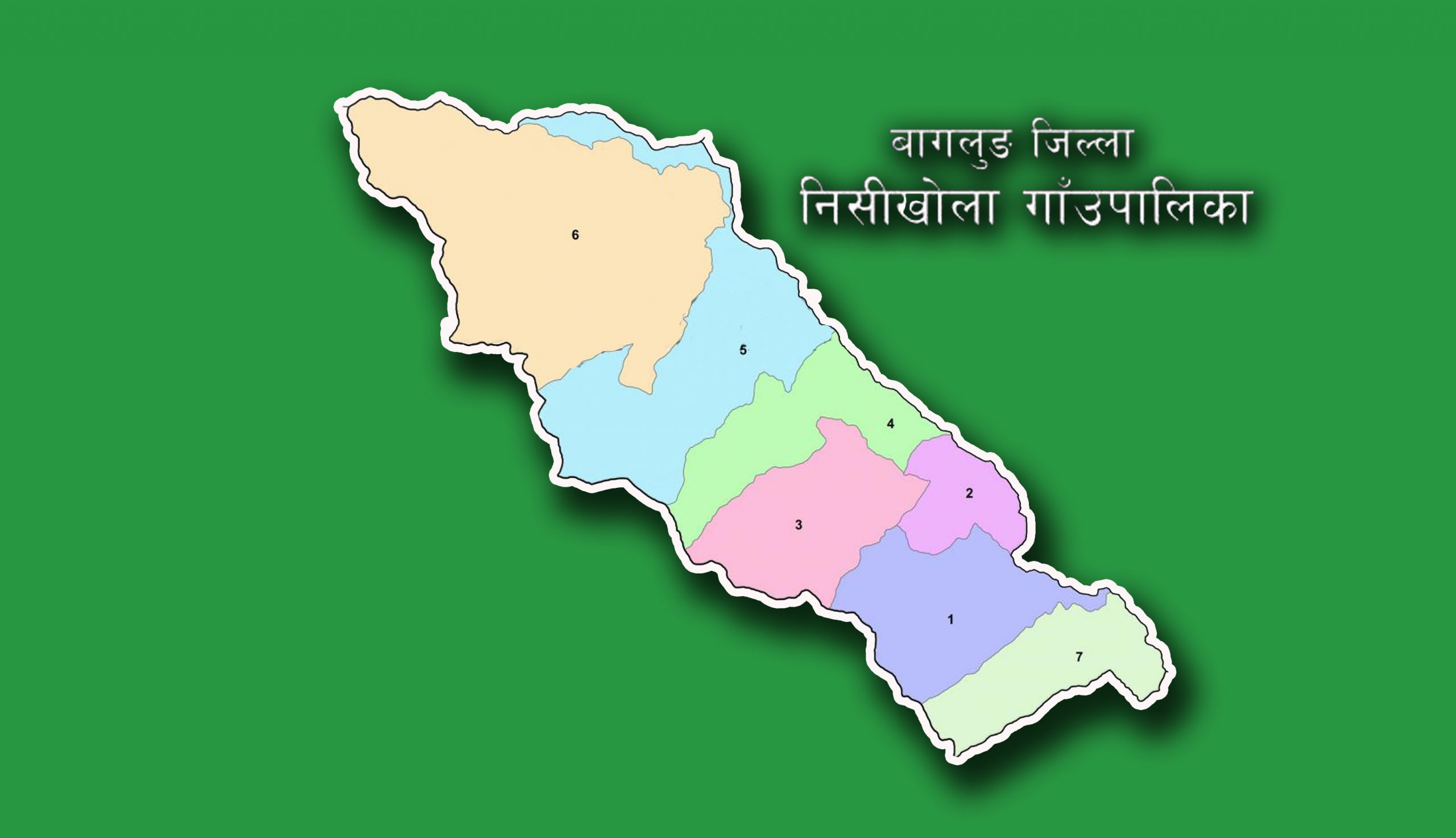 ८६ किलो गाँजासहित वडाध्यक्ष पक्राउ