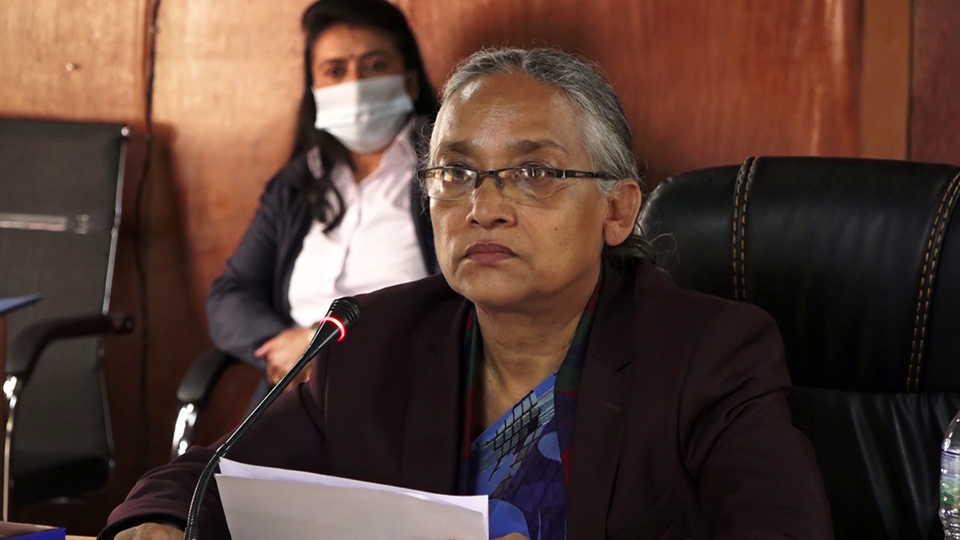 संसदीय समितिले भन्यो- पत्रकार निकाल्ने सञ्चारगृहलाई कारवाही गर्नु