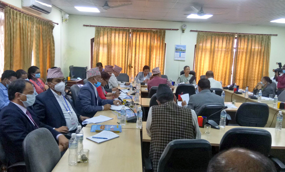 अख्तियारले ठूला घटनामा हात हाल्न सकेन