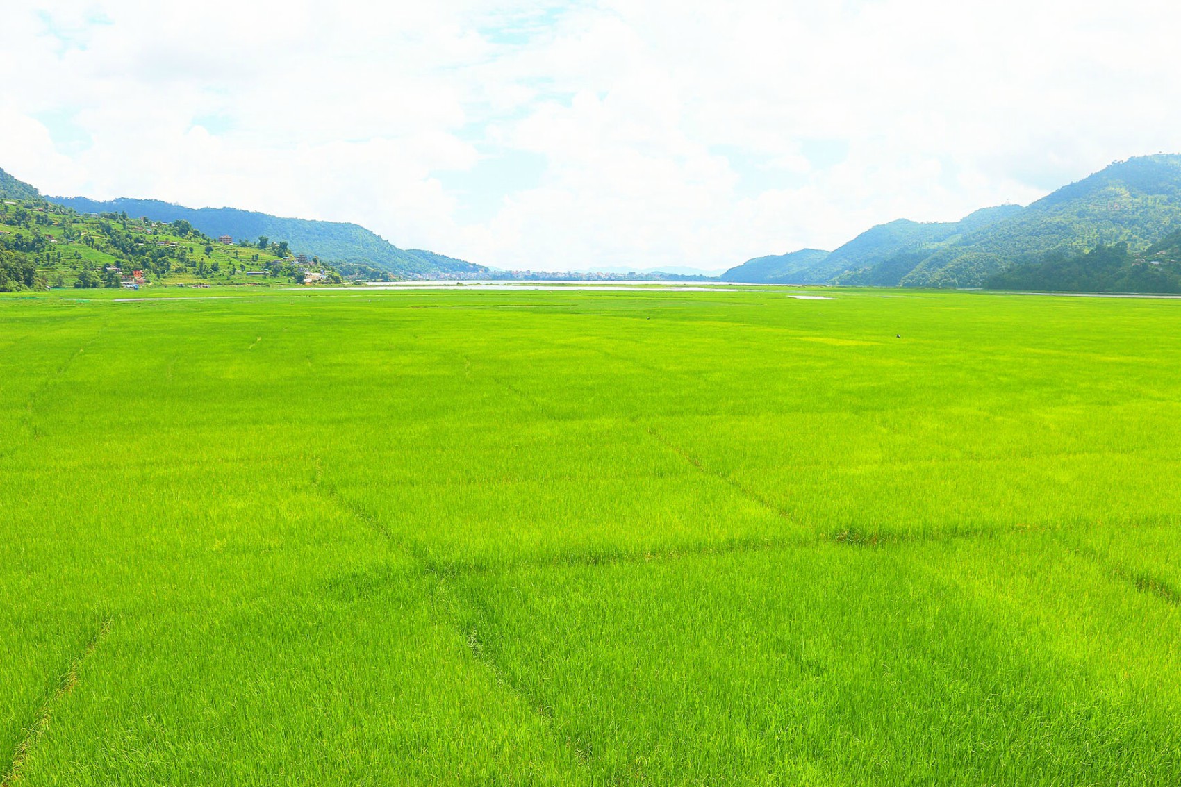 नेपालको बाली प्रणालीमा पोटासयुक्त खनिजको कमी