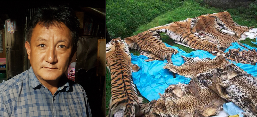 कुख्यात वन्यजन्तु तस्कर लामाविरुद्ध इन्टरपोलले जारी गर्यो रेड नोटिस