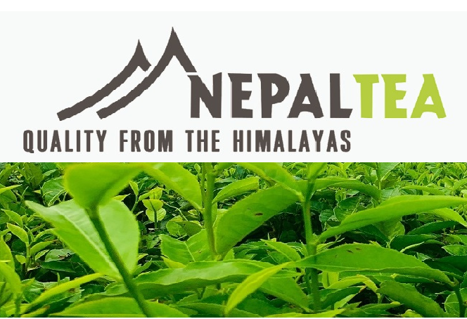 नेपाली चियाको ट्रेडमार्क भारत र अमेरिकामा दर्ता