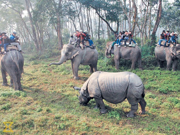सौराहामा पर्यटक भित्र्याउन ‘घुमौँ सौराहा’ अभियान चलाइने