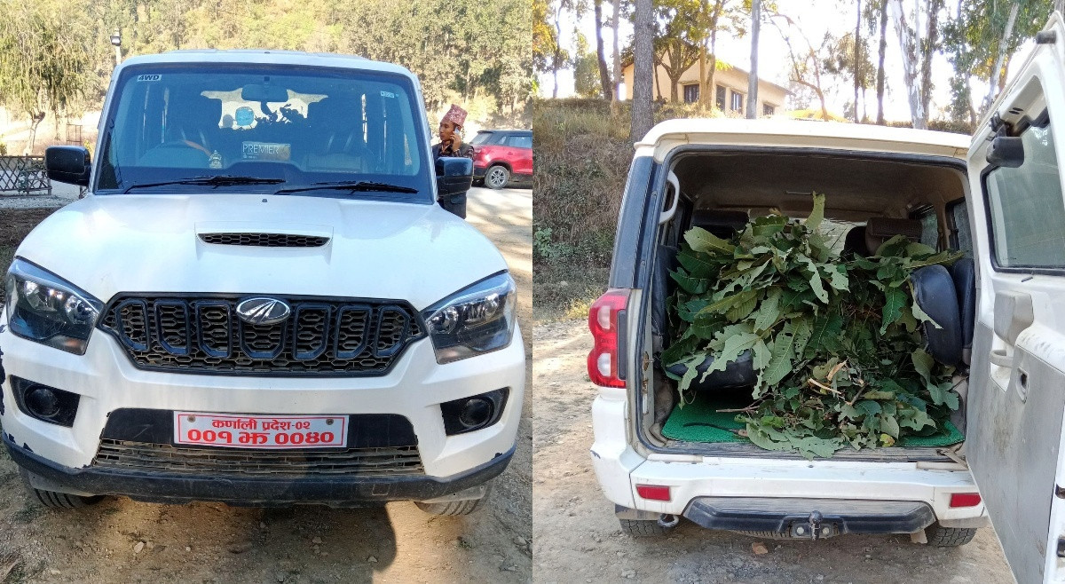 सरकारी गाडीले घाँस बोक्यो, ट्राफिकले नियन्त्रणमा लियो