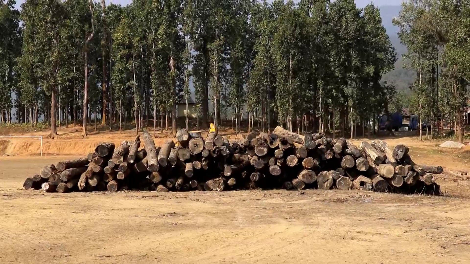 वनका काठ कुहिँदै, काठ संकलन र सदुपयोगमा रोक