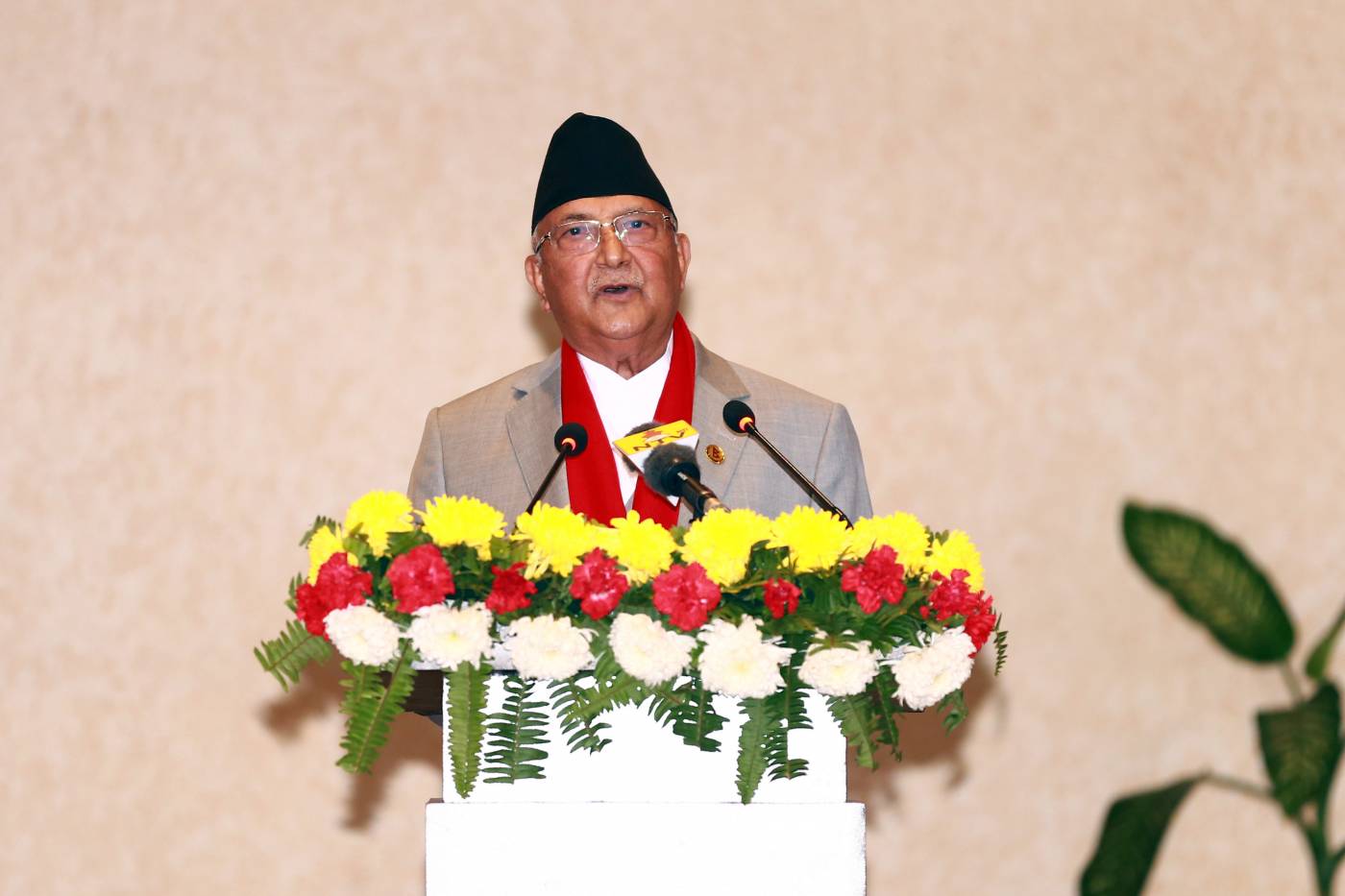 आयोगमा सरकारको हस्तक्षेप हुन्न : प्रधानमन्त्री ओली