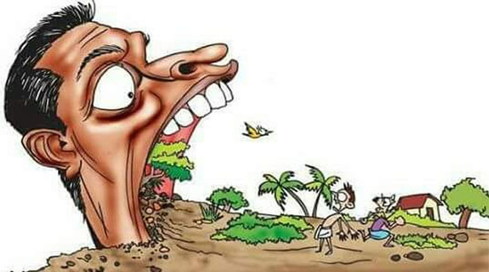 भूमाफियाद्वारा ८ हजार रोपनी अतिक्रमण