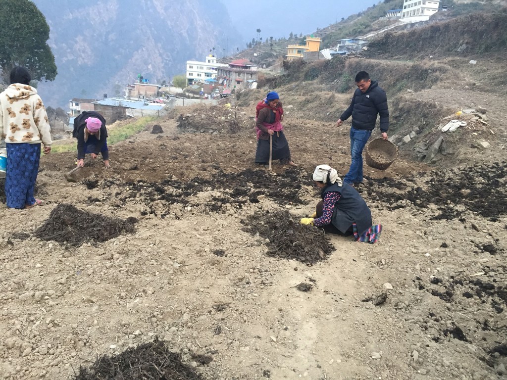 अधिकांश गाउँघर पुरुषविहीन बन्दै