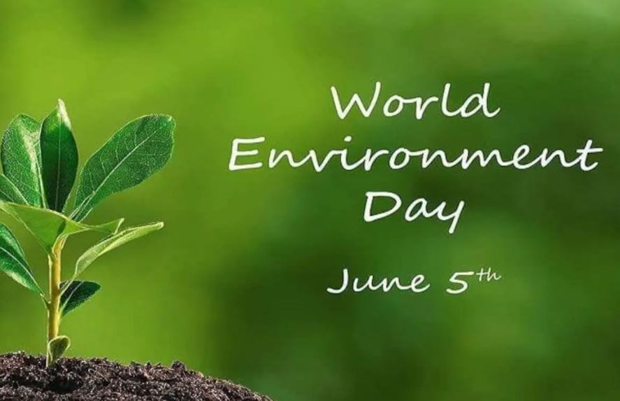 आज विश्व वातावरण दिवस, वातावरण संरक्षणमा भने चुनौती बढ्दै
