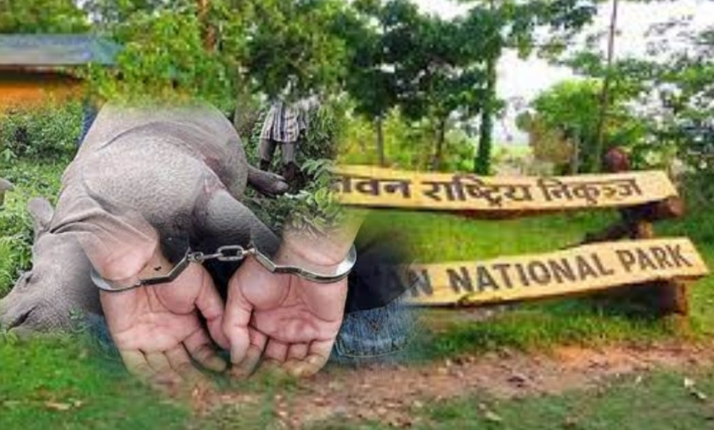 गैँडा चोरी शिकारमा संलग्न राजमान मगर पक्राउ