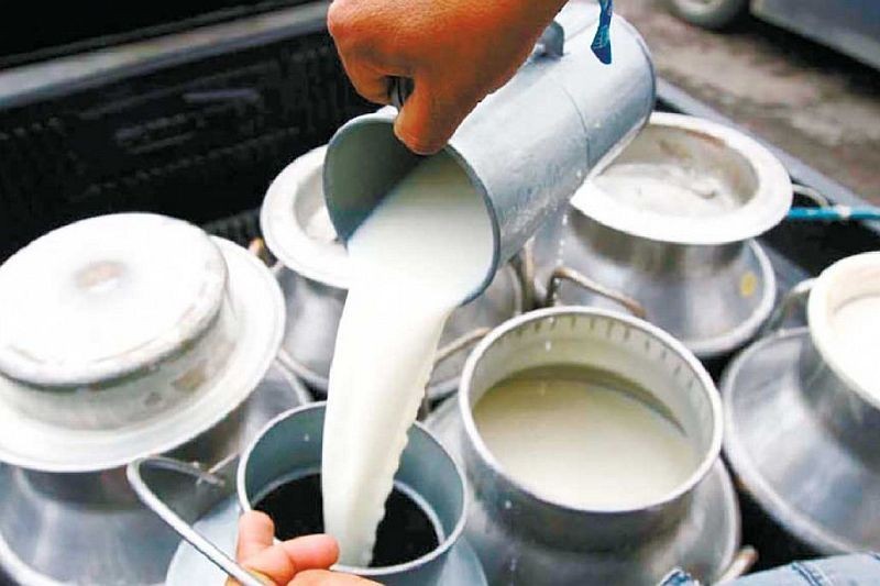 डेरी उद्योगहरूले बढाएको दूधको मूल्य फिर्ता