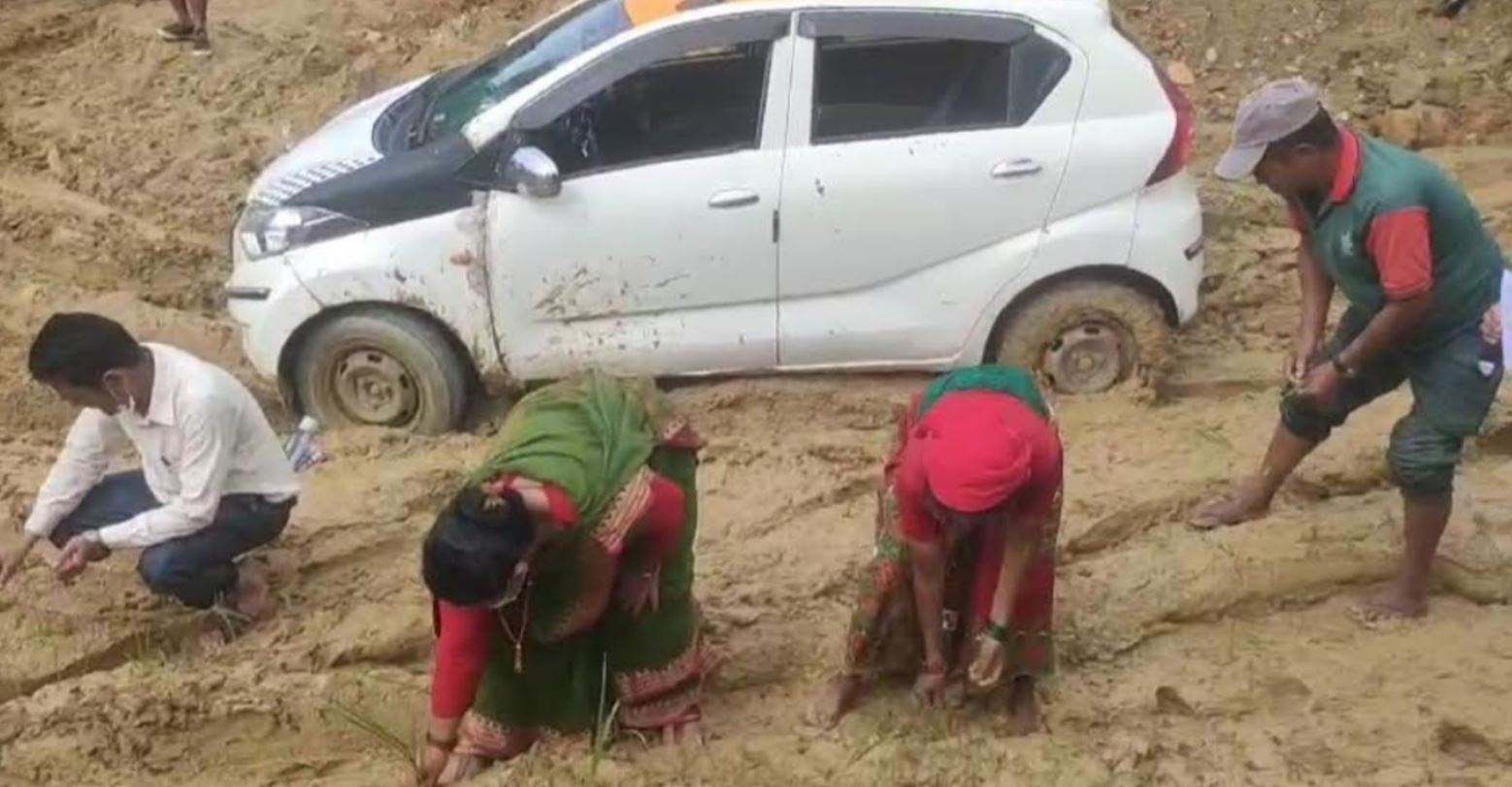 सडक नबनेपछि जनप्रतिनिधिले नै रोपे सडकमा कोदो