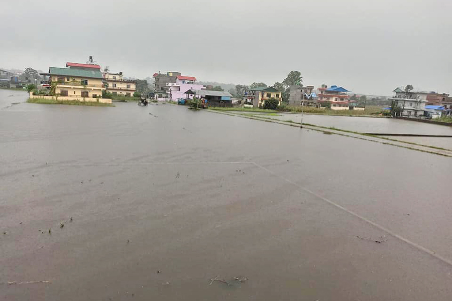 नवलपुरको हुप्सेकोटका १५० घर डुबानमा