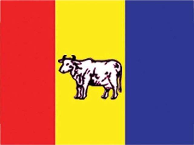 राप्रपाले समान विचारधारा भएका व्यक्तिसँग वार्ता छलफल गर्दै