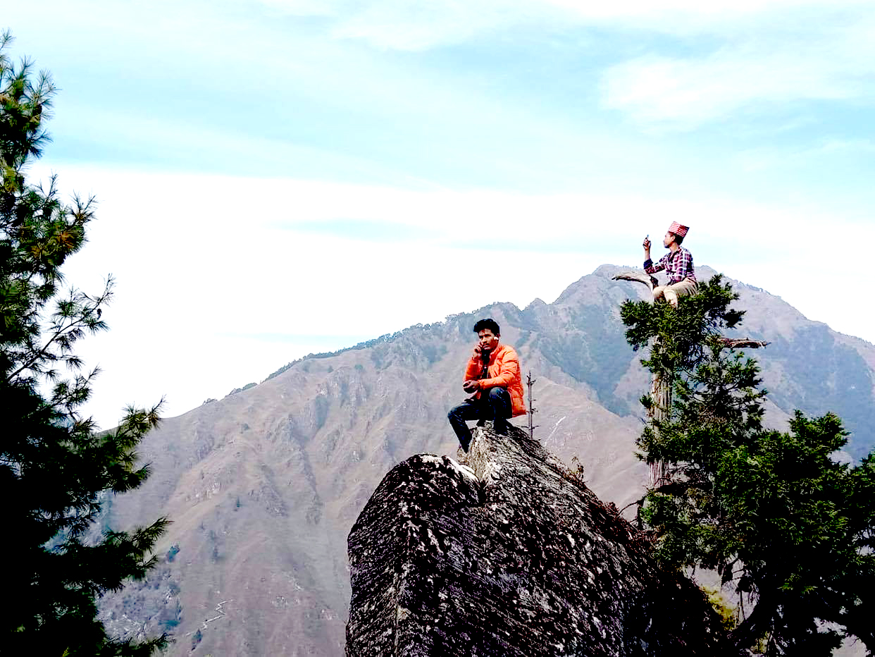 रोल्पाका डाँडामा टावर हुँदा पनि फोन गर्न रुख चढ्नुपर्ने