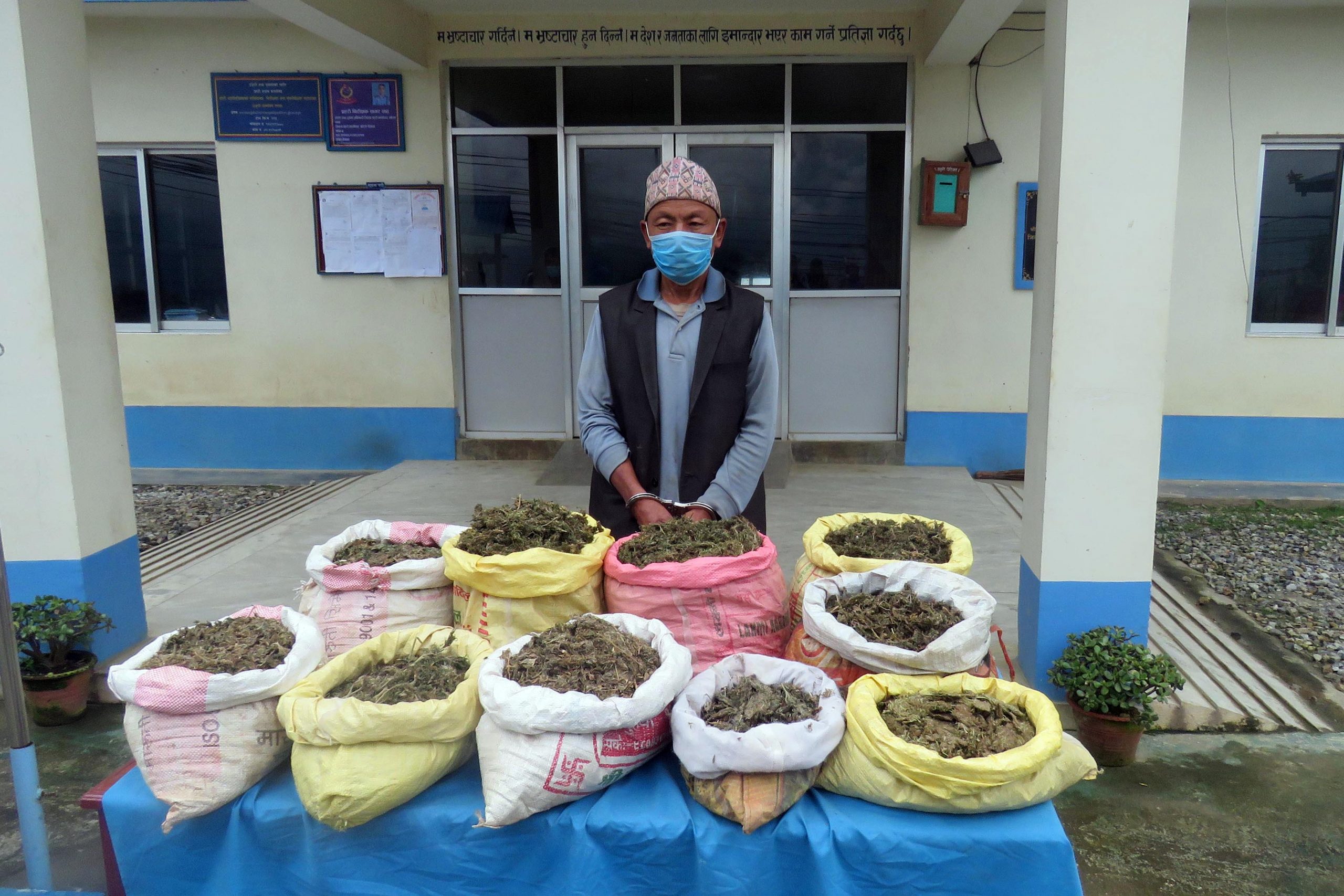 पन्ध्र केजी गाँजासहित एक पक्राउ