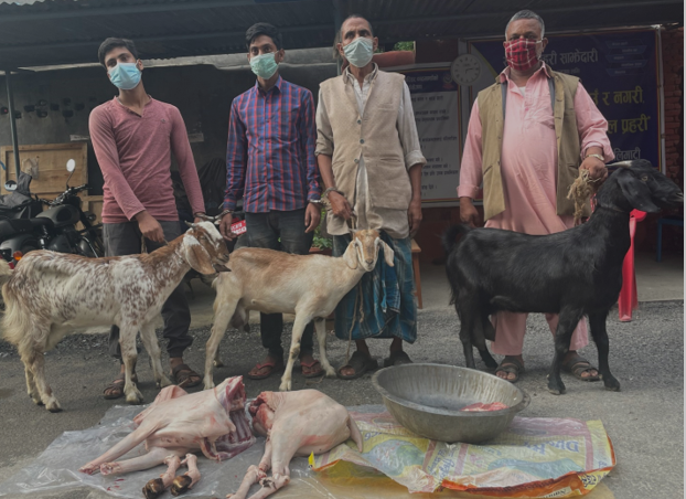 खसी भन्दै बाख्रीको मासु बेच्ने ४ जना पक्राउ
