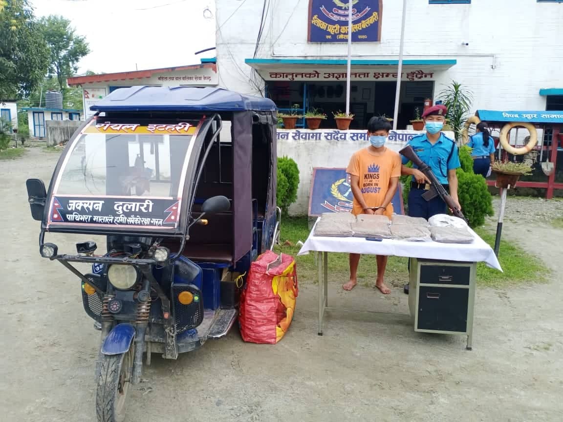 ८ केजी गाँजासहित सिटी सफारी चालक पक्राउ