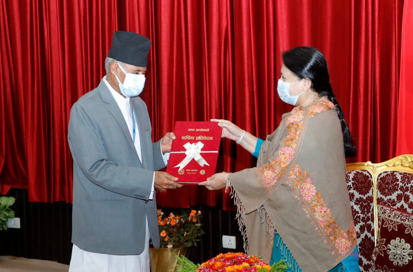 राष्ट्रपतिसमक्ष भाषा आयोग र राष्ट्रिय दलित आयोगको प्रतिवेदन पेश