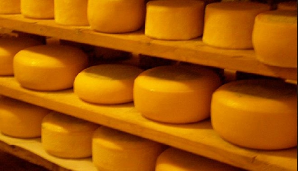 नेपालको अग्लो स्थानबाट चिज उत्पादन हुने