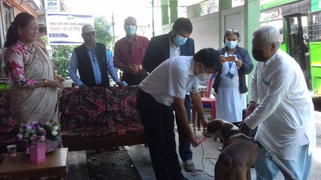 पोखरामा कुकुर पाल्न पनि वडाबाट पालन अनुमति पत्र लिनुपर्ने