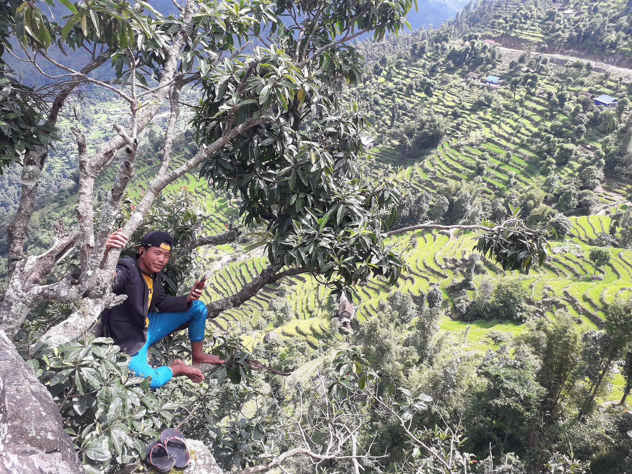 योगेश भट्टराईको गाउँमा रूखको टुप्पोमा मात्र भेटिन्छ इन्टरनेट