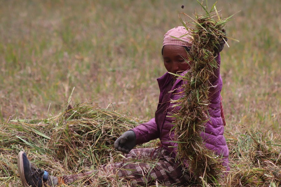 यस्तो गाउँ, जहाँ घाँस काट्न पनि साइत हेरिन्छ