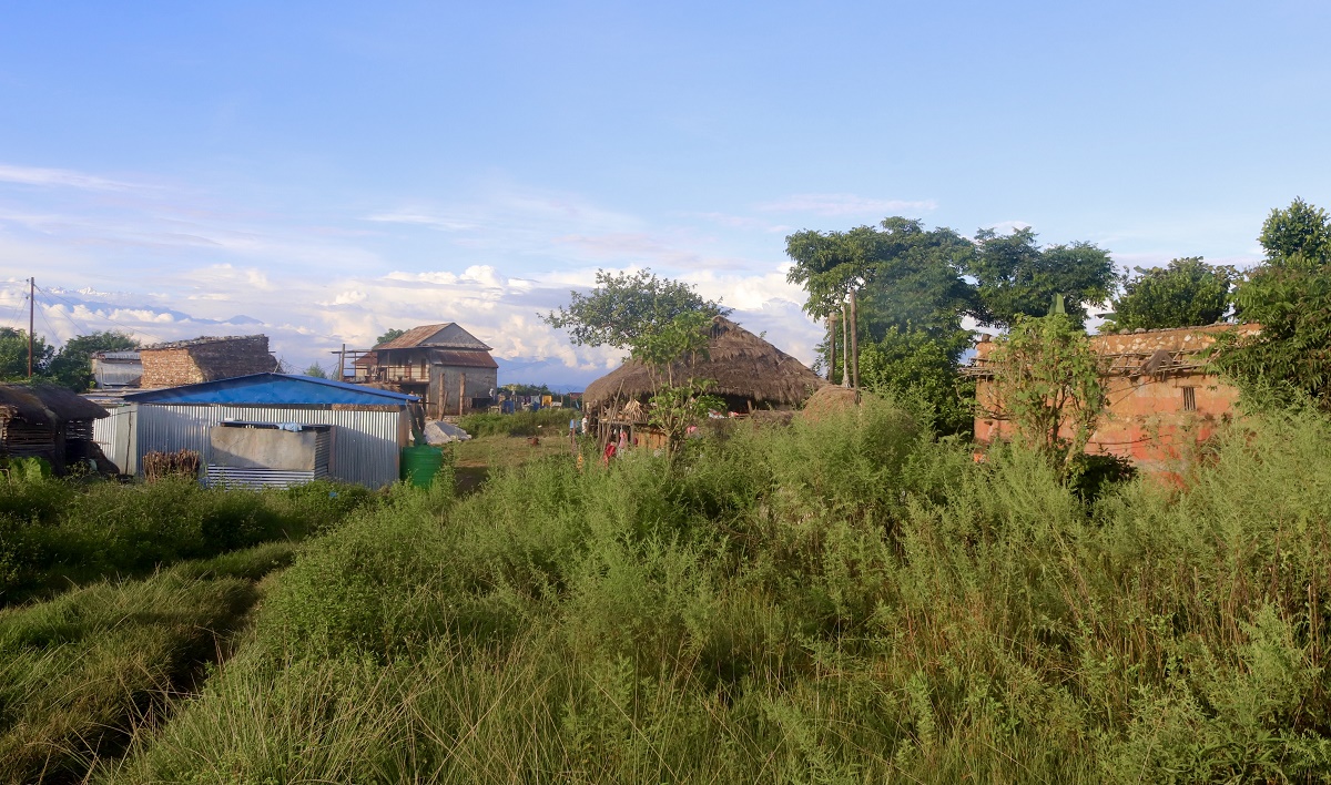 पानी खोज्दै बेसी झरेकाहरू त्यसपछि गाउँ उक्लिए