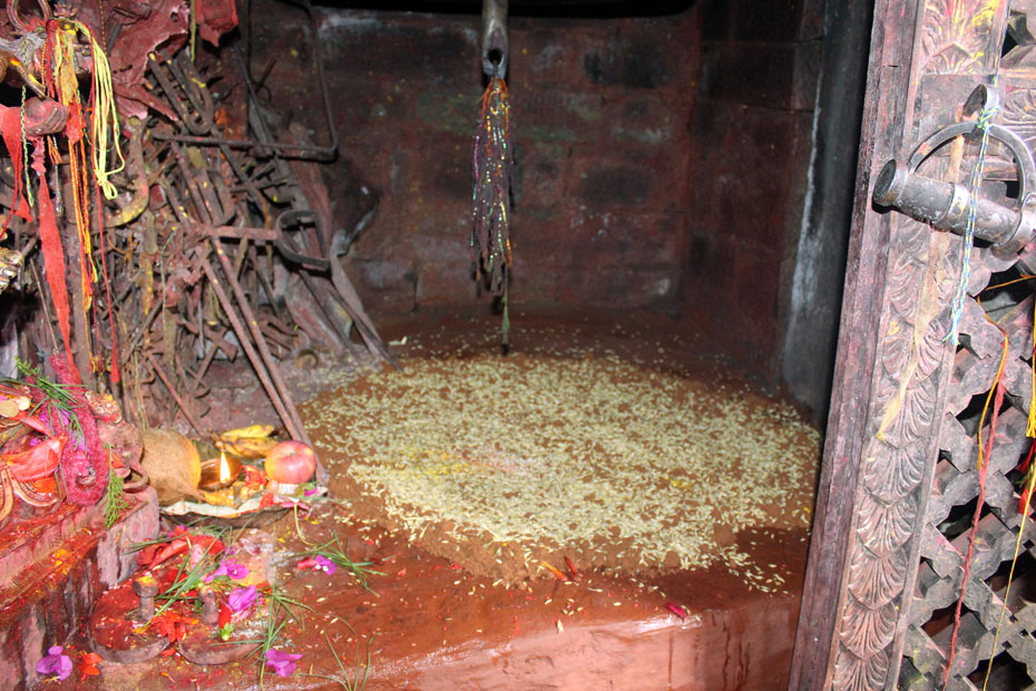 गोरखा दरबारको दसैंघरमा जमरा राखियो