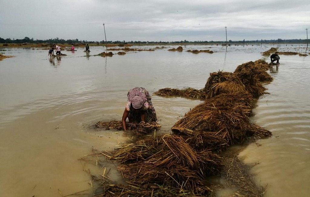 बाढीपीडित भन्छन्- ‘चामल नदेऊ, धानखेत बनाइदेऊ’