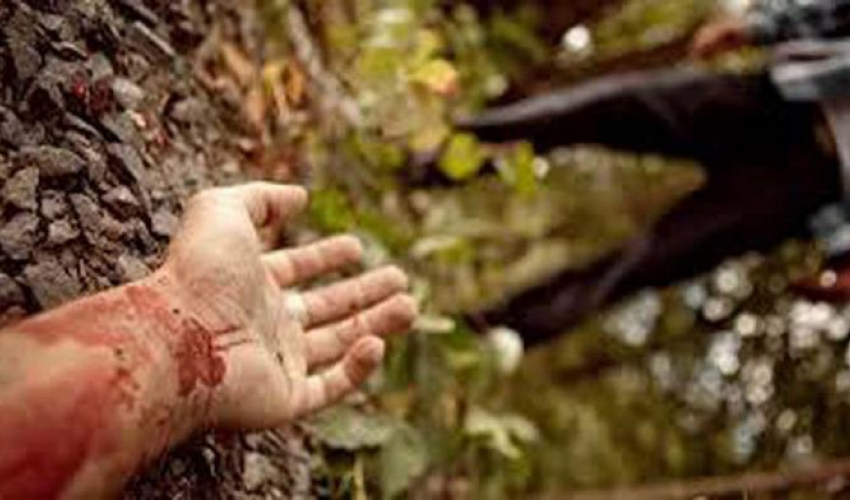 रुखबाट लडेर ओखलढुङ्गामा एक जनाको मृत्यु