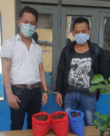 ३ किलो यार्सागुम्बासहित २ जना पक्राउ