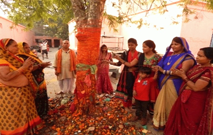 मिथिलामा आज अक्षय नवमी मनाइँदै